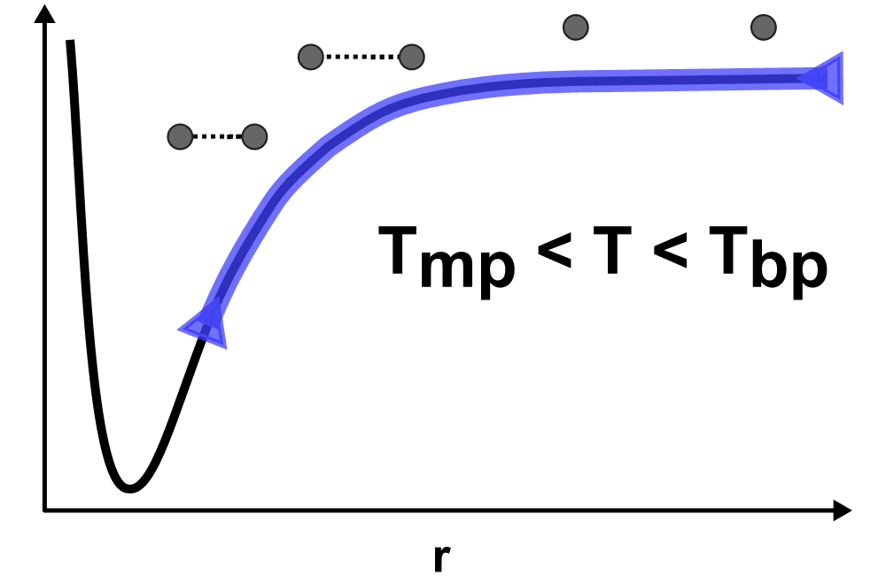 liquid model